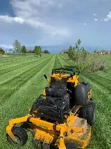Riley's Complete Lawn Professionals photo 2