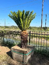 Ohana Construction & Landscaping photo 6
