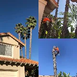 Greatland Landscape, Inc.