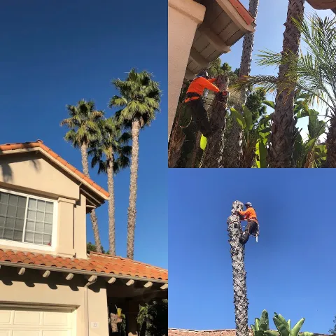 Greatland Landscape, Inc. photo 1