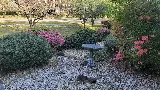 Amazing Lawn & Landscape photo 5
