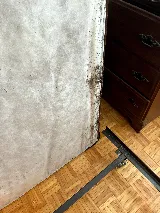 Quality Affordable Pest Control Toronto photo 6