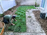 All Professional Landscape photo 2