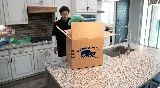 Local Movers photo 3