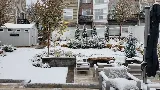 White Landscape Design photo 5