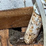 Kwik Kill Pest Control photo 3