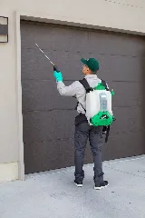 Saela Pest Control photo 5