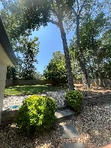 Serene Green Landscape Co. photo 6