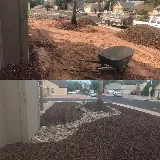Arizona’s Landscaping Authority LLC photo 2