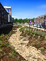 Little Rock Landscape INC photo 7