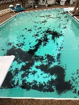 Lucky Pools photo 7
