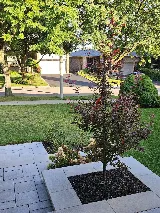 M Landscaping Ltd. photo 3