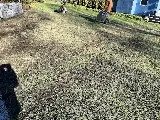 Cesar's Lawn Maintenance and Masonry photo 8