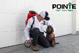 Pointe Pest Control - Missoula photo 8