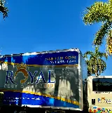 Royal Pest & Termite photo 4