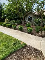 Landscaping & Gardening service photo 3