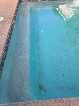 The Pool Company, Inc. photo 3