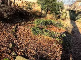 Lawn & Garden Landscaping photo 7