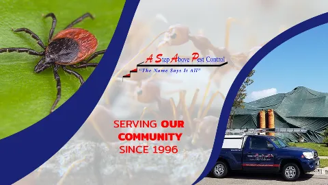 A Step Above Pest Control in Los Angeles