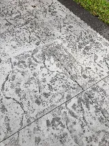 Hi-tech Concrete Solutions photo 4