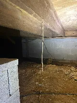 Breda Pest Management photo 2