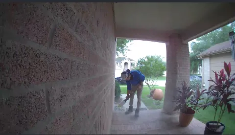 Kindred Pest Control photo 1