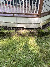 Clearview Pest Control & Exterminator Services photo 6