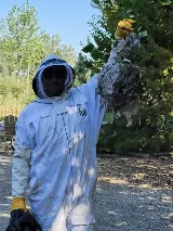 Shield Pest and Wildlife Control photo 3