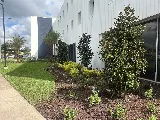 C & L Landscape photo 6