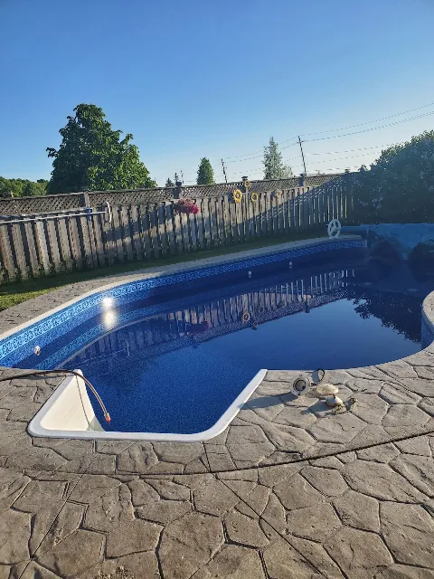 Total Tech Pools Service and Renovations photo 1