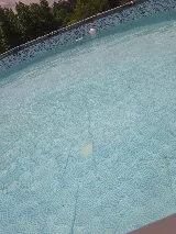 Magnolia Pool & Spa
