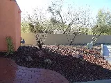Horticulture Unlimited, Inc. photo 4