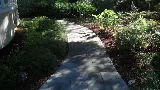Pro Landscaping of Chula Vista photo 8