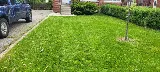 4ever Green Landscaping Services Ltd photo 3