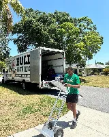 Bull Moving photo 4