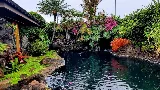 Paradise by Design Landscaping Inc.