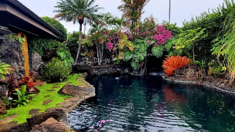 Paradise by Design Landscaping Inc. photo 1