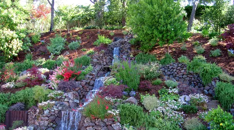 Lawrence Bennett Landscape Design and Construction in Berkeley