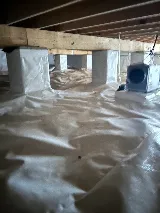 Spire Pest Control photo 3