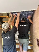 All My Brothers Moving photo 6