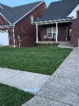 Black Diamond Pest Control photo 4