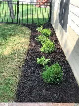 AllService Home and Lawn photo 4