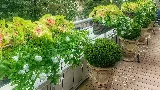 Nolagreen Landscaping, LLC