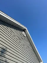 PESKY BUGGERS PEST CONTROL LTD photo 8