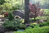 Pro Care Horticultural Services photo 5