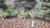 Manhattan Landscape Company photo 7