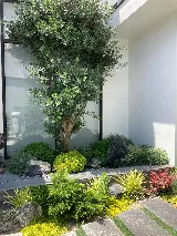HB Landscape Design LLC photo 3