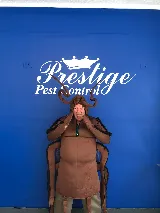 Prestige Pest Control photo 6