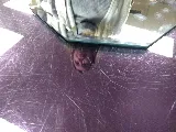 Baer Glass Inc. photo 5