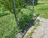 Lawns of Texas photo 6